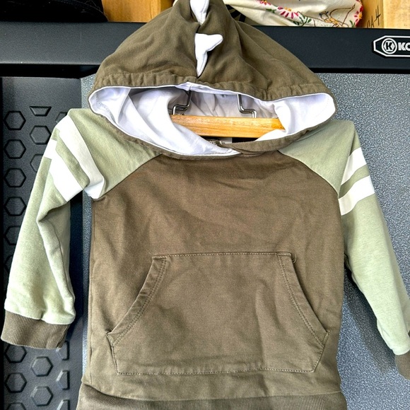 Tommy Bahama spiked dinosaur hoodie & sweatpants Sz 12 months - Picture 4 of 10